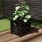 Nature Spring Square Planter Box, Lattice Container with Bottom Insert for Flowers and Plants, Black 955237EPR - alternate 1
